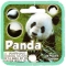 PANDA 2 - MEGA MARBLES - MEGA MARBLES 24+1 (2009-2013) (FACE)